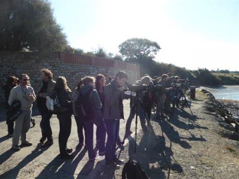 Observations ornithologiques et échanges informels